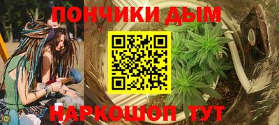 PSILOCYBIN Гусиноозёрск
